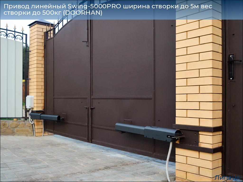 Привод линейный Swing-5000PRO ширина cтворки до 5м вес створки до 500кг (DOORHAN), lipetsk.doorhan.ru