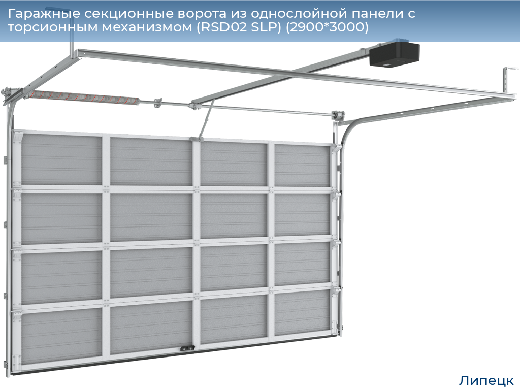 Гаражные секционные ворота из однослойной панели с торсионным механизмом (RSD02 SLP) (2900*3000), lipetsk.doorhan.ru