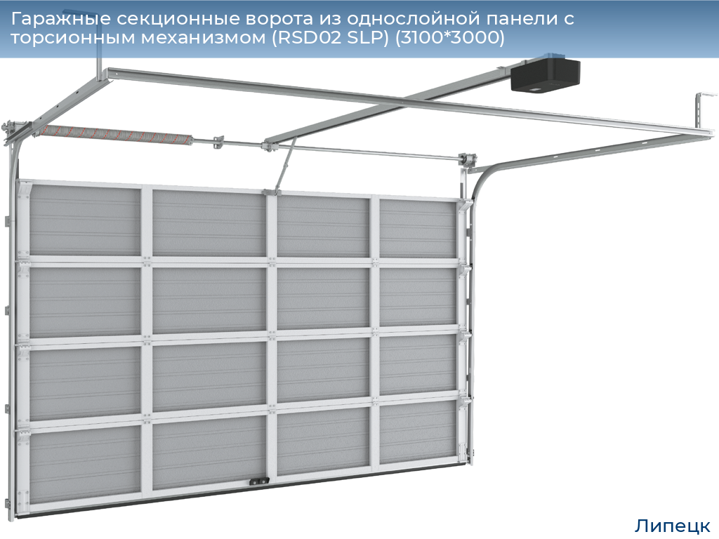 Гаражные секционные ворота из однослойной панели с торсионным механизмом (RSD02 SLP) (3100*3000), lipetsk.doorhan.ru