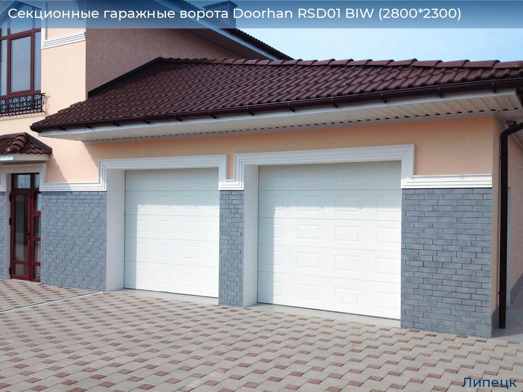 Секционные гаражные ворота Doorhan RSD01 BIW (2800*2300), lipetsk.doorhan.ru