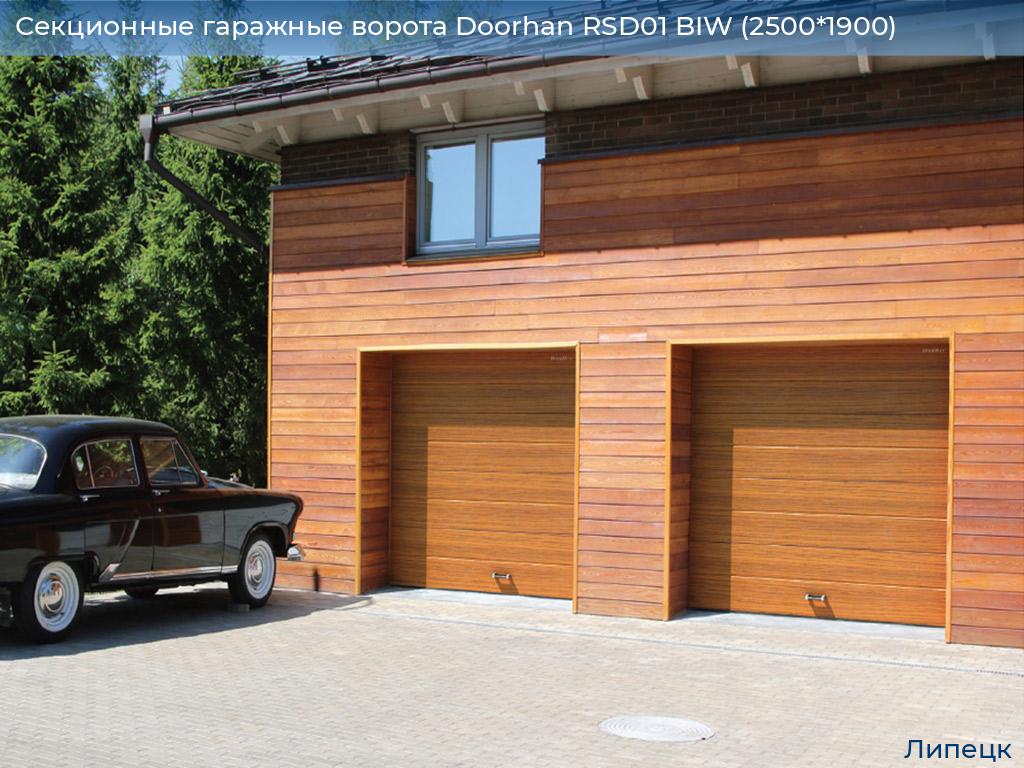 Секционные гаражные ворота Doorhan RSD01 BIW (2500*1900), lipetsk.doorhan.ru