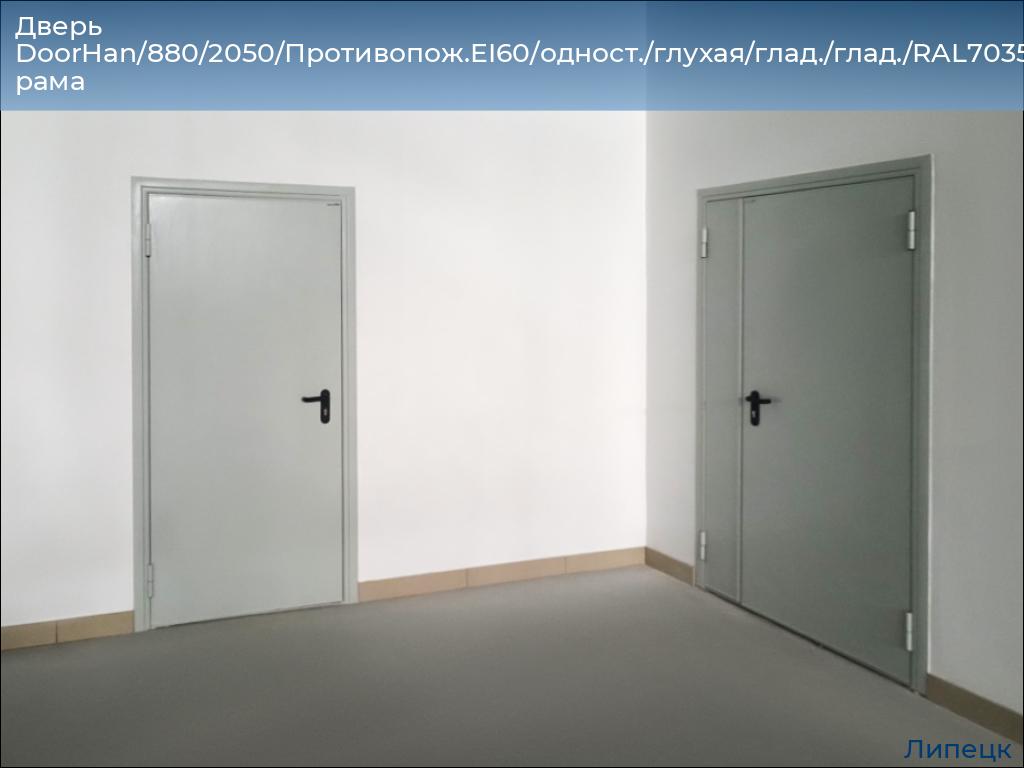Дверь DoorHan/880/2050/Противопож.EI60/одност./глухая/глад./глад./RAL7035/лев./угл. рама, lipetsk.doorhan.ru