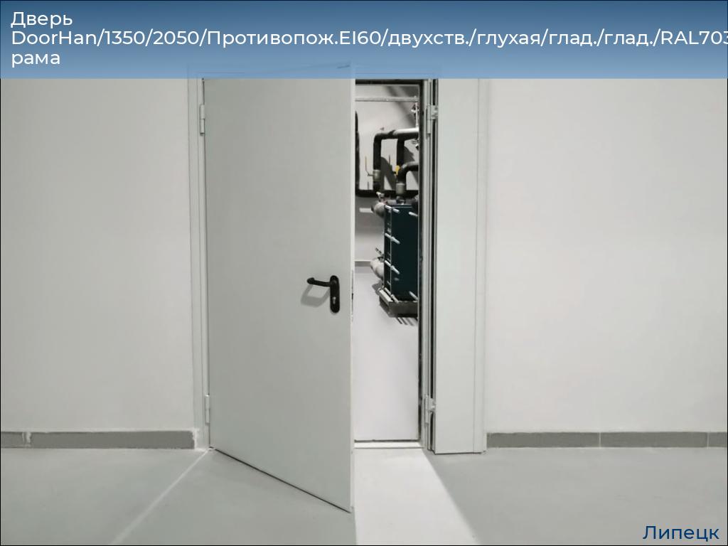 Дверь DoorHan/1350/2050/Противопож.EI60/двухств./глухая/глад./глад./RAL7035/прав./угл. рама, lipetsk.doorhan.ru