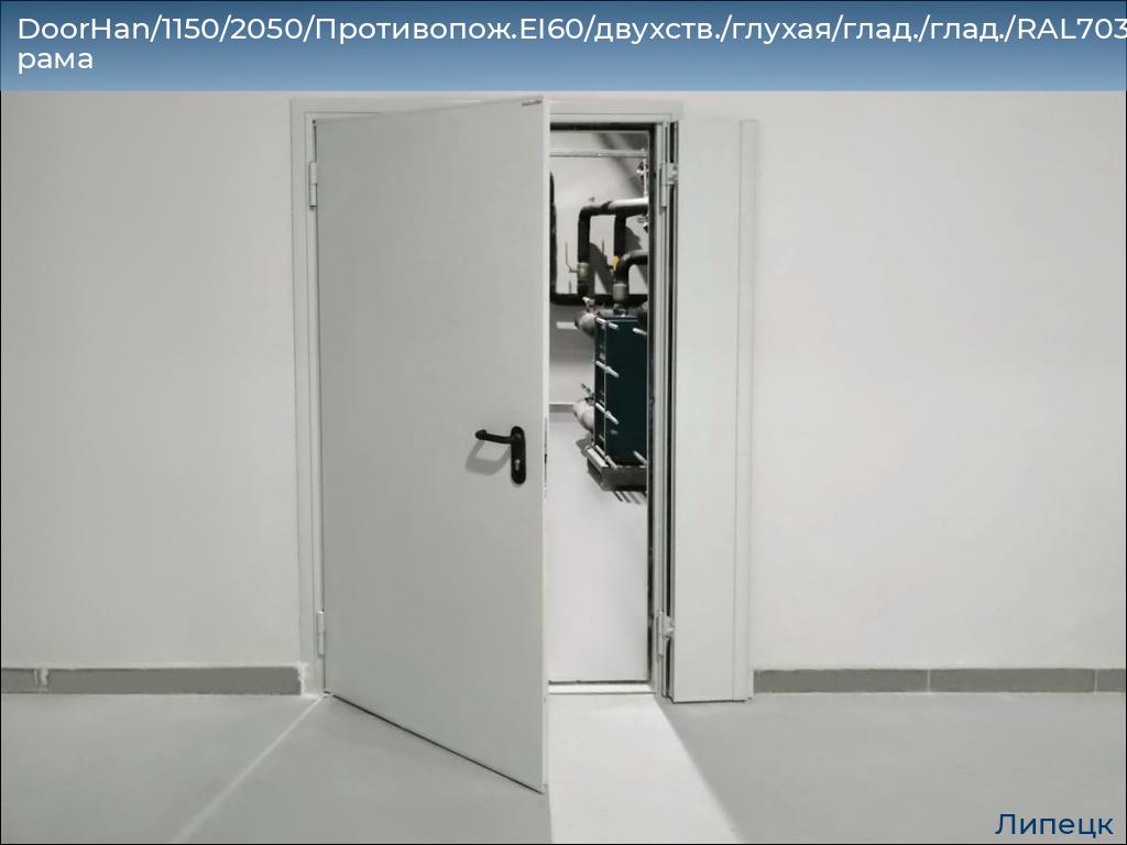 DoorHan/1150/2050/Противопож.EI60/двухств./глухая/глад./глад./RAL7035/лев./угл. рама, lipetsk.doorhan.ru