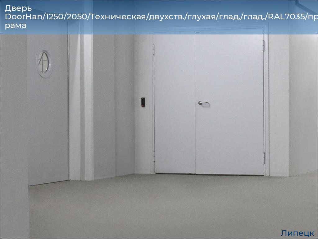 Дверь DoorHan/1250/2050/Техническая/двухств./глухая/глад./глад./RAL7035/прав./угл. рама, lipetsk.doorhan.ru