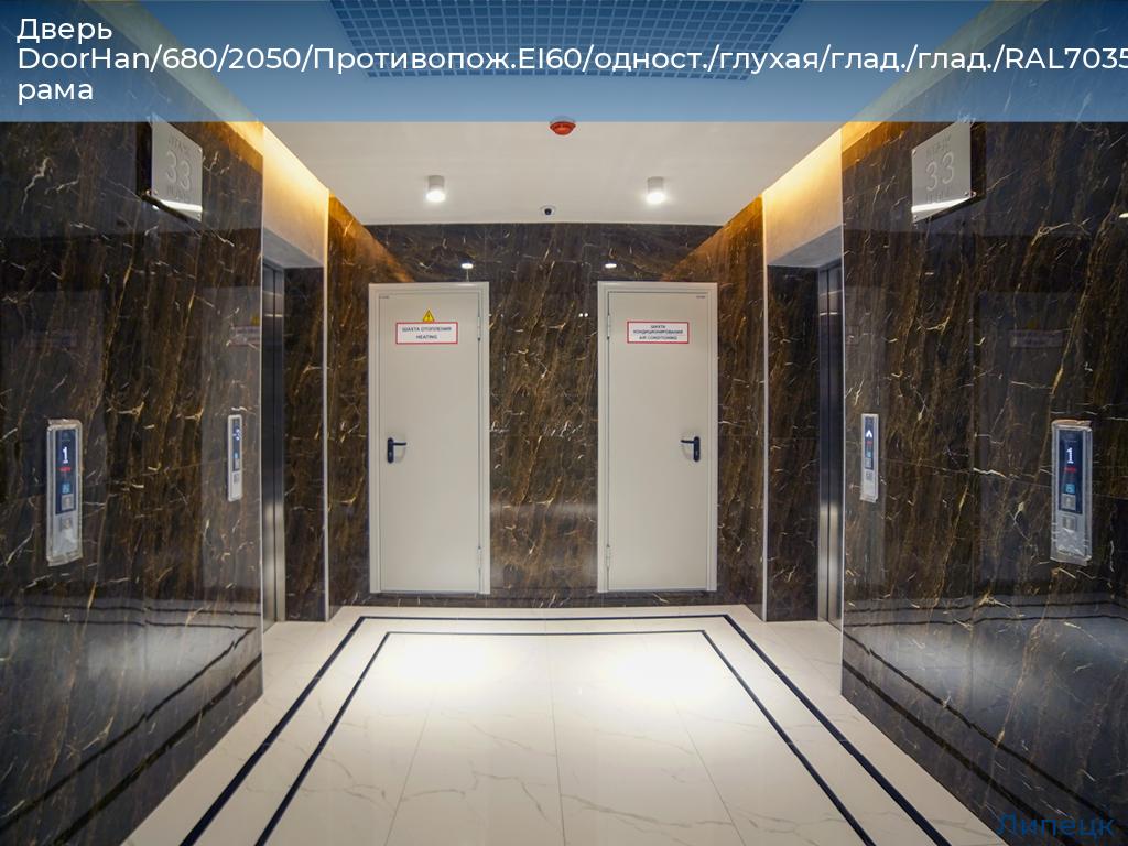 Дверь DoorHan/680/2050/Противопож.EI60/одност./глухая/глад./глад./RAL7035/лев./угл. рама, lipetsk.doorhan.ru