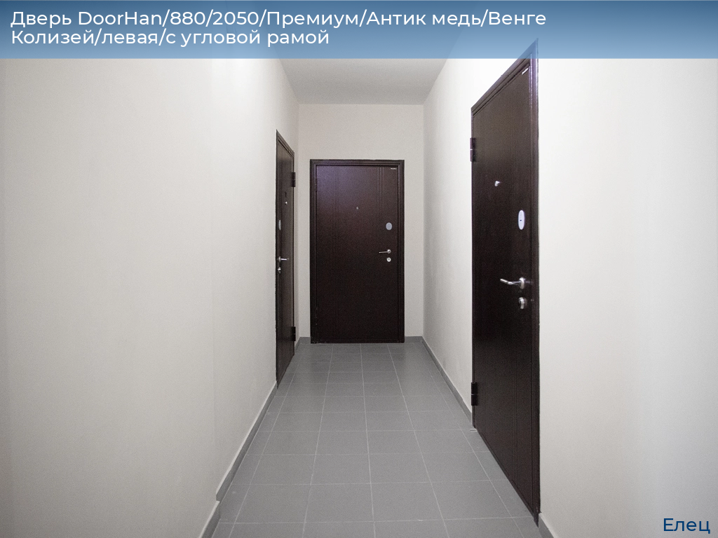 Дверь DoorHan/880/2050/Премиум/Антик медь/Венге Колизей/левая/с угловой рамой, elets.doorhan.ru