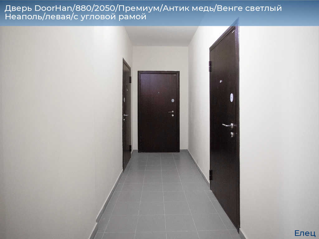 Дверь DoorHan/880/2050/Премиум/Антик медь/Венге светлый Неаполь/левая/с угловой рамой, elets.doorhan.ru
