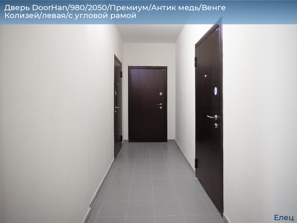 Дверь DoorHan/980/2050/Премиум/Антик медь/Венге Колизей/левая/с угловой рамой, elets.doorhan.ru