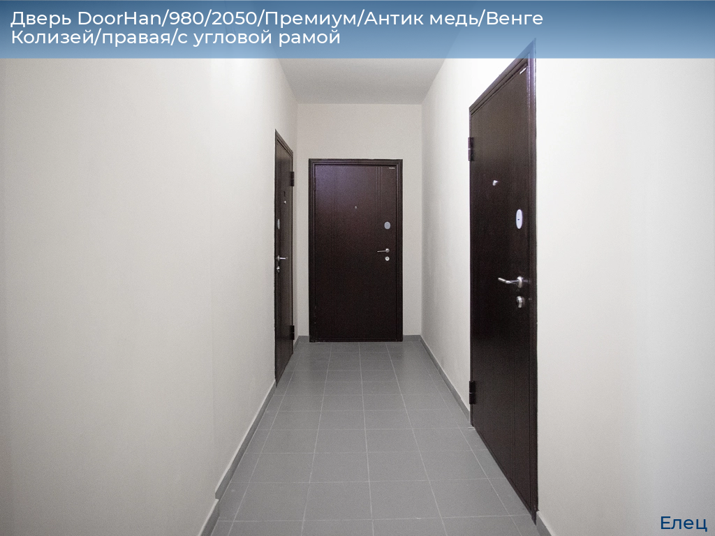 Дверь DoorHan/980/2050/Премиум/Антик медь/Венге Колизей/правая/с угловой рамой, elets.doorhan.ru