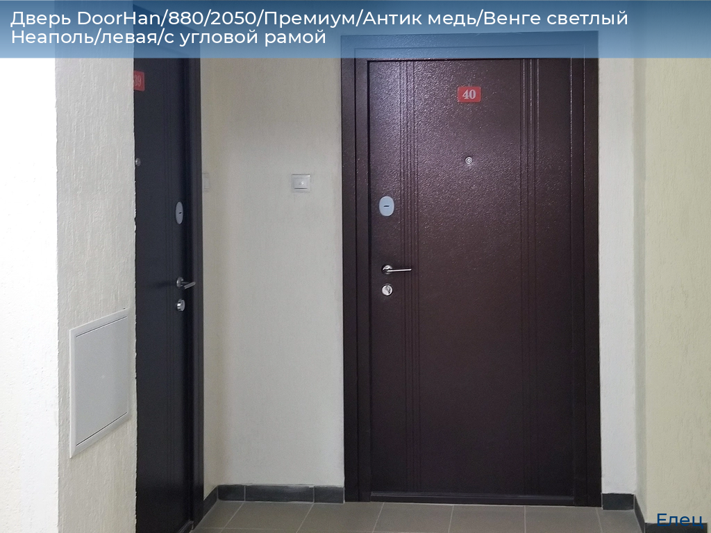 Дверь DoorHan/880/2050/Премиум/Антик медь/Венге светлый Неаполь/левая/с угловой рамой, elets.doorhan.ru