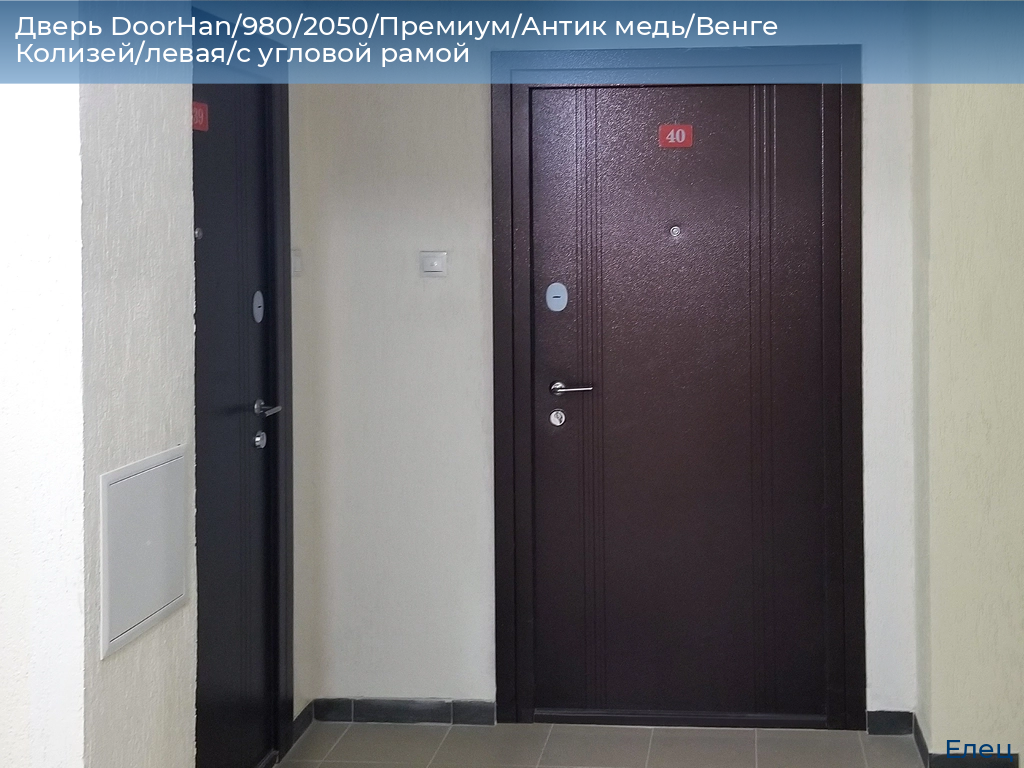 Дверь DoorHan/980/2050/Премиум/Антик медь/Венге Колизей/левая/с угловой рамой, elets.doorhan.ru