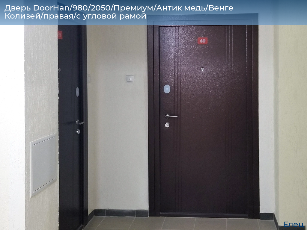 Дверь DoorHan/980/2050/Премиум/Антик медь/Венге Колизей/правая/с угловой рамой, elets.doorhan.ru