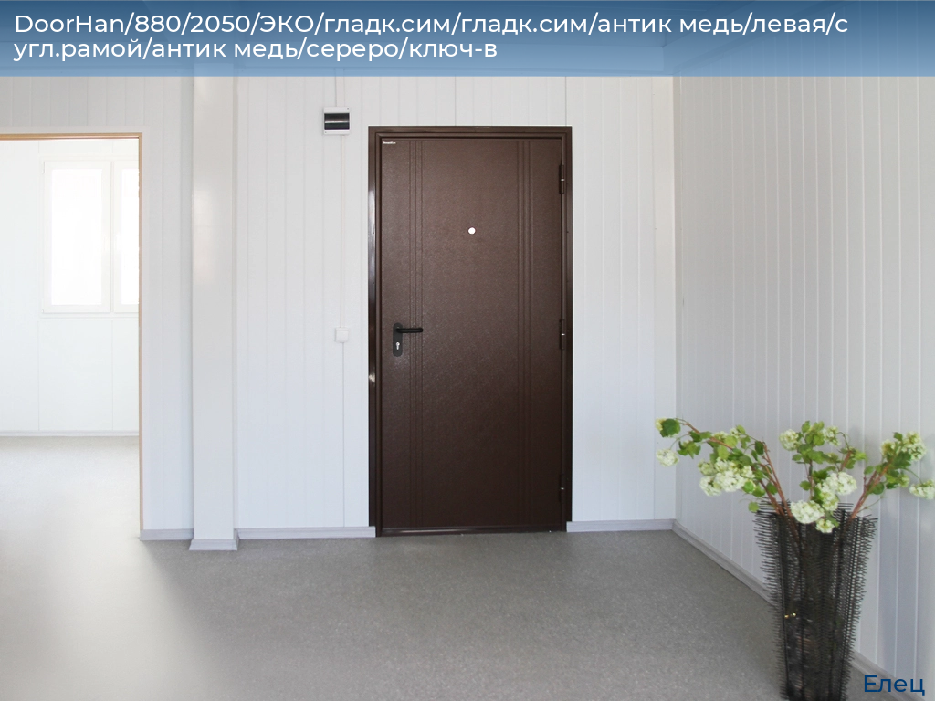 DoorHan/880/2050/ЭКО/гладк.сим/гладк.сим/антик медь/левая/с угл.рамой/антик медь/сереро/ключ-в, elets.doorhan.ru