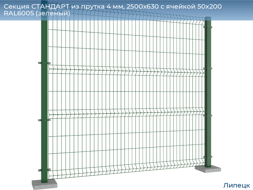 Секция СТАНДАРТ из прутка 4 мм, 2500x630 с ячейкой 50х200 RAL6005 (зеленый), lipetsk.doorhan.ru