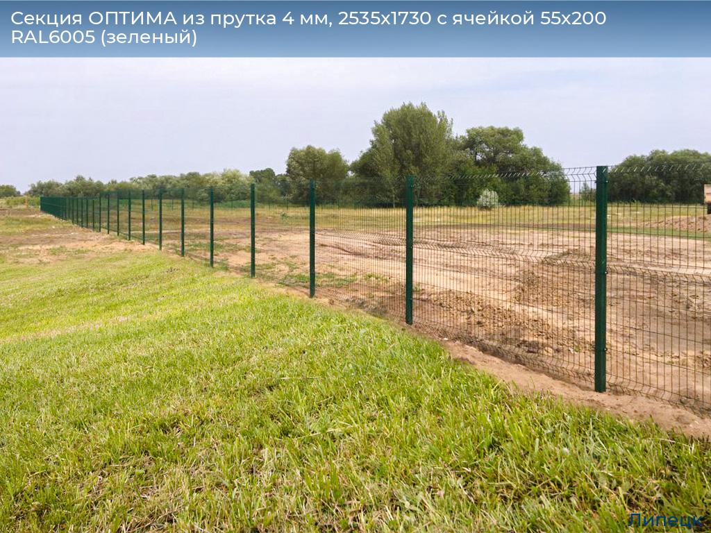 Секция ОПТИМА из прутка 4 мм, 2535x1730 с ячейкой 55х200 RAL6005 (зеленый), lipetsk.doorhan.ru