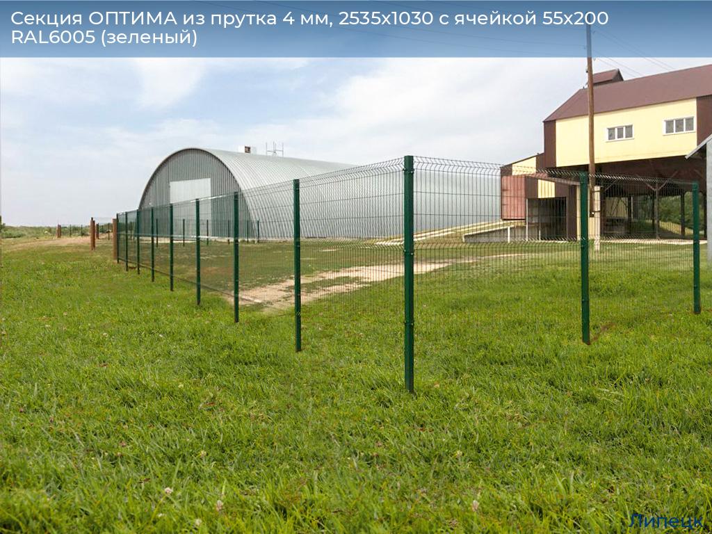 Секция ОПТИМА из прутка 4 мм, 2535x1030 с ячейкой 55х200 RAL6005 (зеленый), lipetsk.doorhan.ru