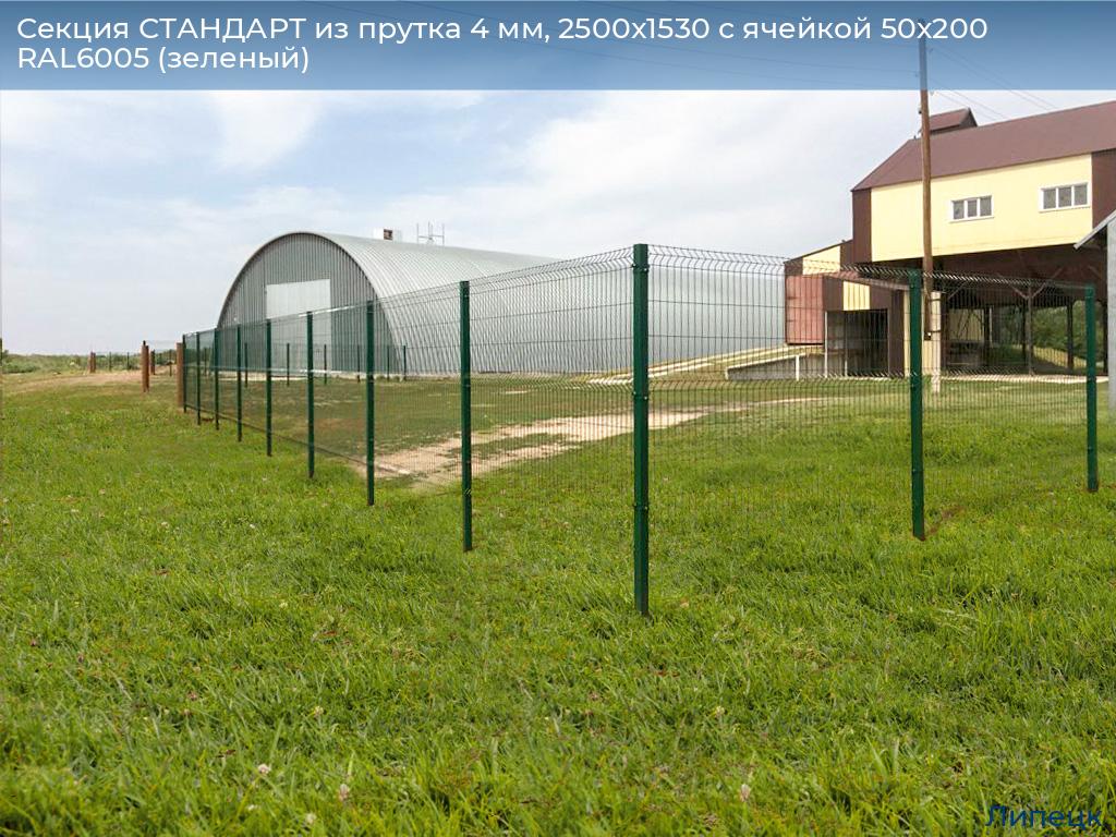Секция СТАНДАРТ из прутка 4 мм, 2500x1530 с ячейкой 50х200 RAL6005 (зеленый), lipetsk.doorhan.ru