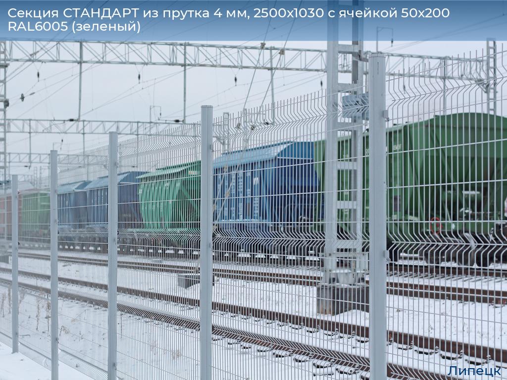 Секция СТАНДАРТ из прутка 4 мм, 2500x1030 с ячейкой 50х200 RAL6005 (зеленый), lipetsk.doorhan.ru