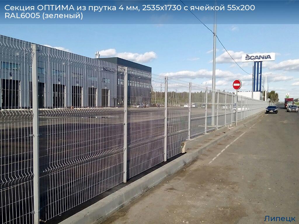 Секция ОПТИМА из прутка 4 мм, 2535x1730 с ячейкой 55х200 RAL6005 (зеленый), lipetsk.doorhan.ru